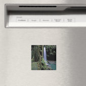 Dominica, Emerald Pool, Waterfall. Magneet (Insitu (Vaatwasser))