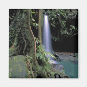 Dominica, Emerald Pool, Waterfall. Magneet (Voorkant)
