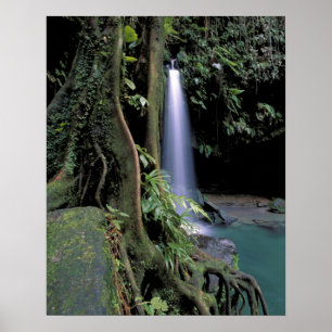 Dominica, Emerald Pool, Waterfall. Poster