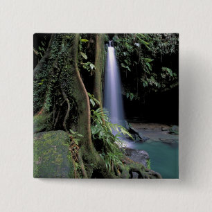 Dominica, Emerald Pool, Waterfall. Vierkante Button 5,1 Cm