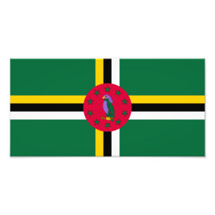 Dominica Flag Foto Afdruk