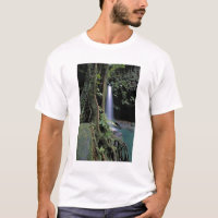 Dominica, Smaragdbron, Waterval.