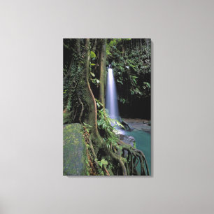 Dominica, Smaragdpoel, Waterval. Canvas Afdruk