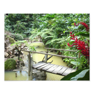 Dominica Sulpher-pools Foto Afdruk