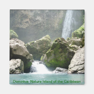Dominica waterfall magnet magneet