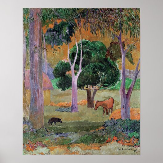 Dominicaans landschap of landschap met een varken poster (Voorkant)