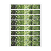 Dominicaans regenwoud II Tropisch groen (Vel)