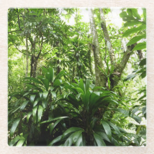 Dominicaanse Regenwoud I Tropische Groene Natuur Glazen Onderzetter