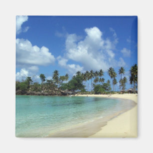 Dominicaanse Republiek Beach Magnet Magneet