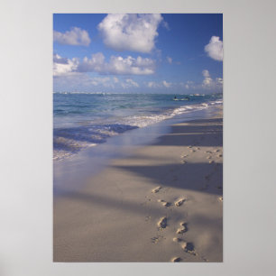 Dominicaanse Republiek, Caribisch gebied, Punta Ca Poster