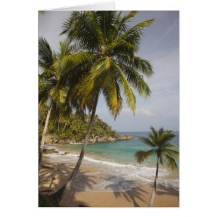 Dominicaanse Republiek, Noordkust, Abreu, Playa