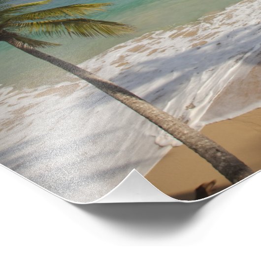 Dominicaanse Republiek, Noordkust, Abreu, Playa 3 Foto Afdruk (Hoek)