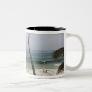 Dominicaanse Republiek, Noordkust, Abreu, Playa 4 Tweekleurige Koffiemok