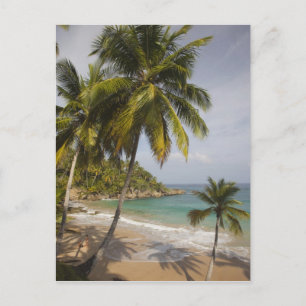Dominicaanse Republiek, Noordkust, Abreu, Strand Briefkaart