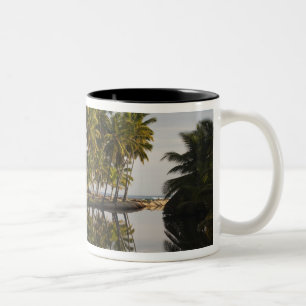 Dominicaanse Republiek, Noordkust, Nagua, Strand Tweekleurige Koffiemok