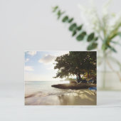 Dominicaanse Republiek Punta Canta Beach Briefkaart (Staand voorkant)