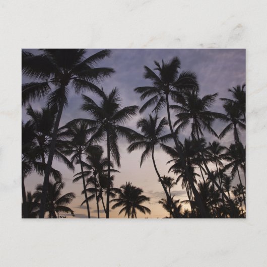 Dominicaanse Republiek, Samana Peninsula, Las 2 Briefkaart (Voorkant)