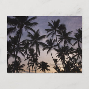 Dominicaanse Republiek, Samana Peninsula, Las 2 Briefkaart