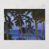 Dominicaanse Republiek, Samana Peninsula, Las Briefkaart (Voorkant)