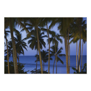 Dominicaanse Republiek, Schiereiland Samaná, Las Foto Afdruk