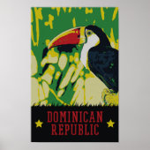 Dominicaanse Republiek verbazingwekkende tucan-Bri Poster (Voorkant)