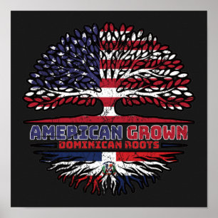 Dominicaanse Republiek Verenigde Staten Verenigde  Poster