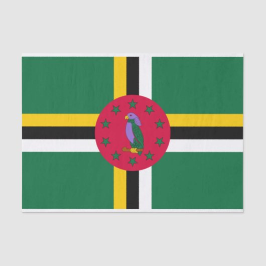Dominicaanse vlag tissuepapier (Voorkant)