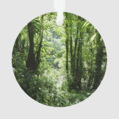 Dominicain Forêt de pluie II Vert tropical (dos)