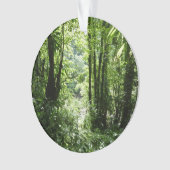 Dominicain Forêt de pluie II Vert tropical (devant)