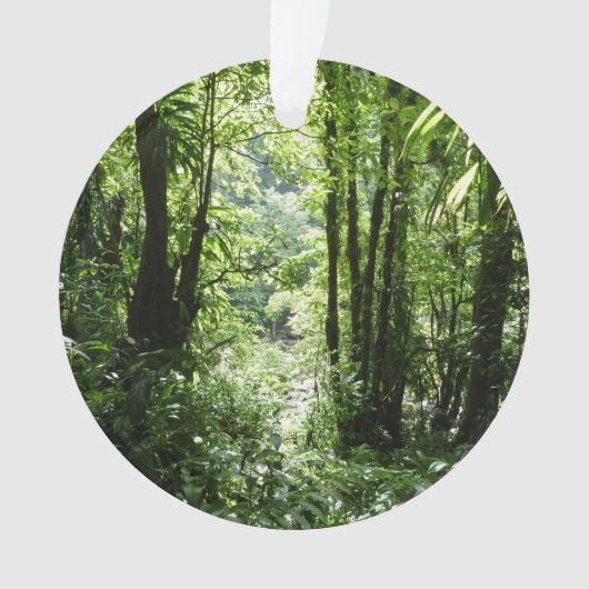 Dominicain Forêt de pluie II Vert tropical (devant)