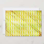 DOMINICANSE REPUBLIEK KAART (Achterkant)