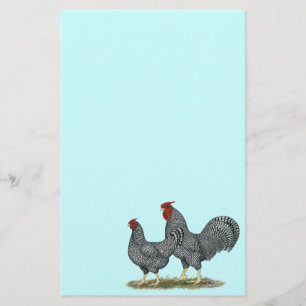 Dominique Chickens Briefpapier