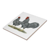 Dominique Chickens Tegeltje (Zijkant)