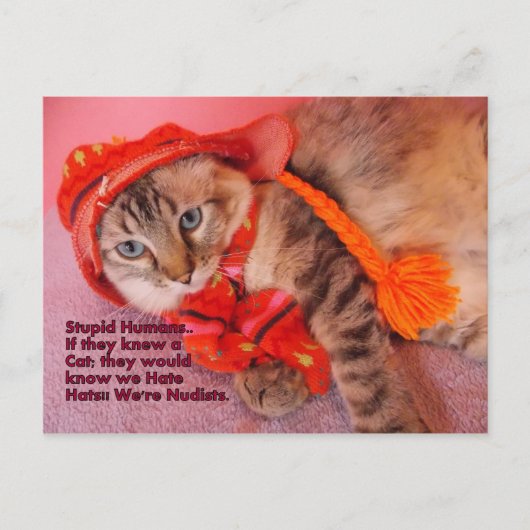 domme mensen humor briefkaart (Voorkant)