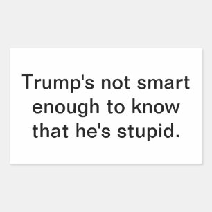 Domme Stomme Trump Is Niet Slim Hankamer Artjunkha Rechthoekige Sticker
