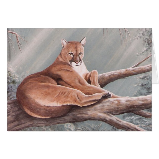 Don Corle-cougar (Voorkant Horizontaal)