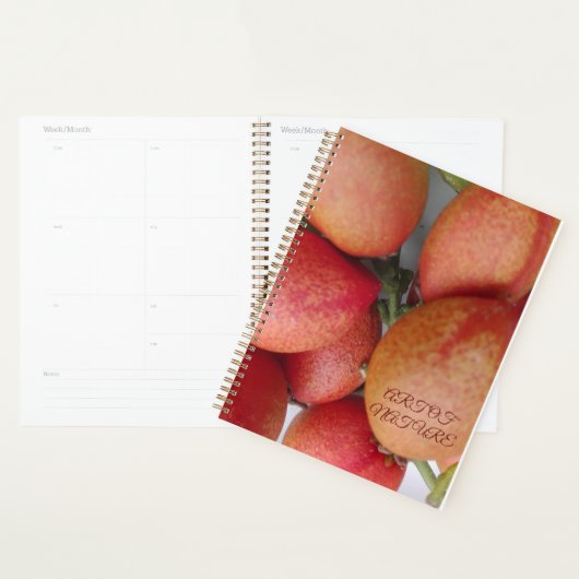 Don d'art fruitier naturel de la Saint-Valentin (Devant avec enveloppe)