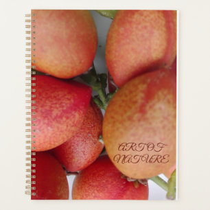 Don d'art fruitier naturel de la Saint-Valentin
