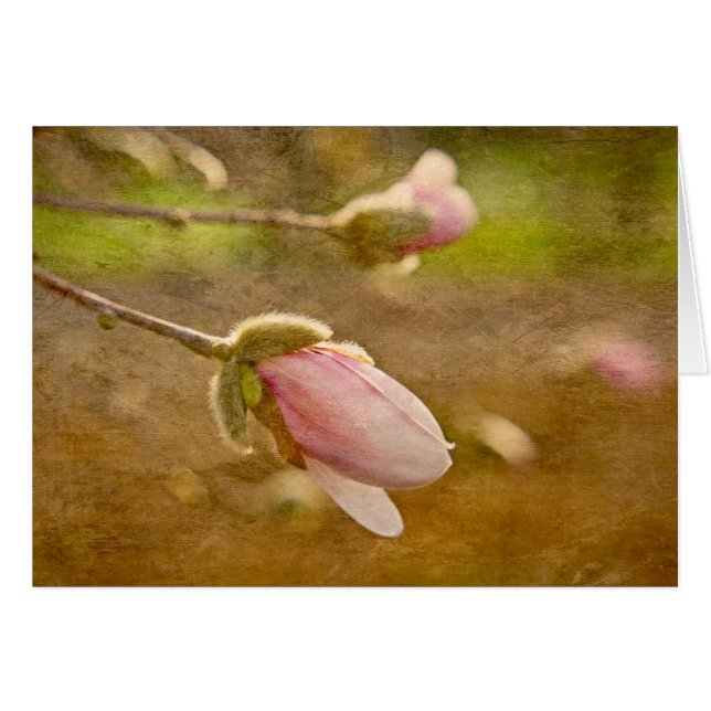 Don d'espoir (Devant Horizontal)