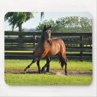 Don diego Side Pass Muismat