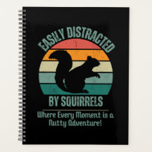 Don Drôle, Facilement Distrait Par Les Écureuils