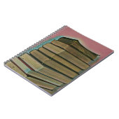 Don pour amoureux du livre (Côté gauche)