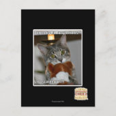 Don ziet eruit briefkaart (Voorkant)