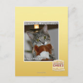 Don ziet eruit briefkaart (Voorkant)