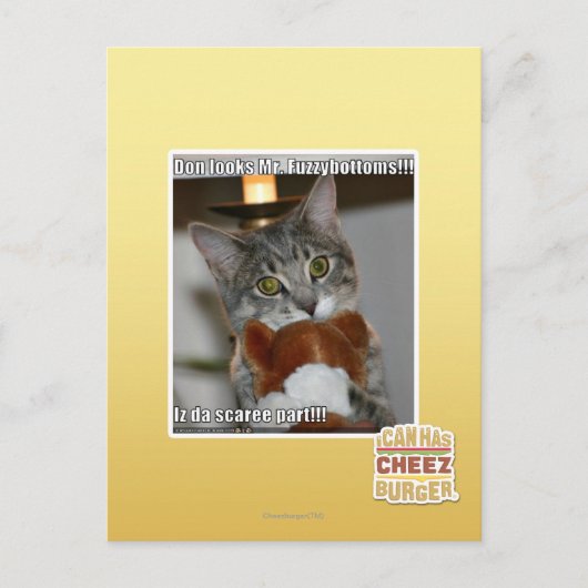 Don ziet eruit briefkaart (Voorkant)