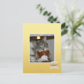 Don ziet eruit briefkaart (Staand voorkant)