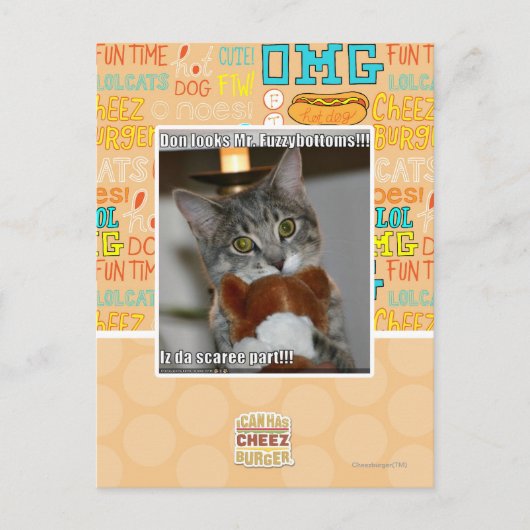 Don ziet eruit briefkaart (Voorkant)