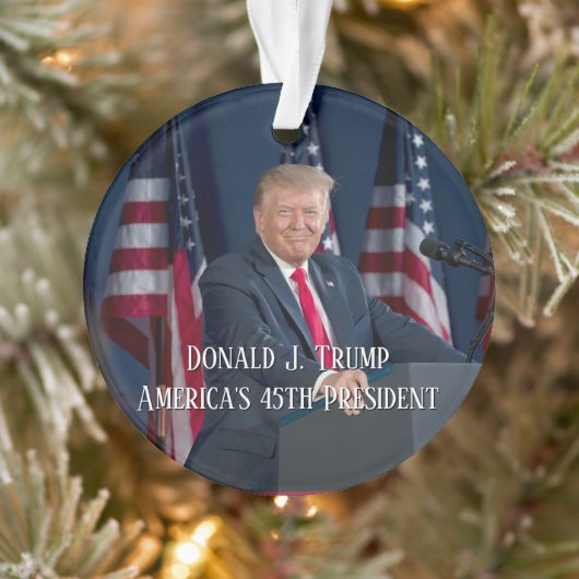 Donald J. Trump 45e président Keepsaké (Arbre)