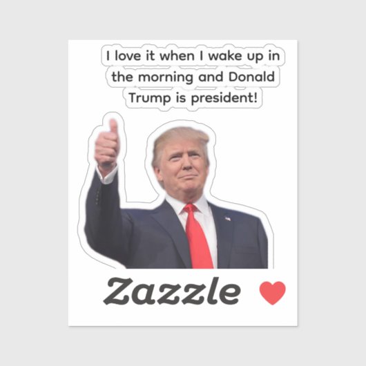 Donald Trump 2024 Sticker (Vel)