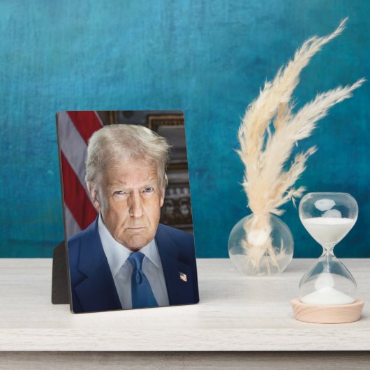Donald Trump 2025 Amerikaans President Fotoplaat (Zijkant)